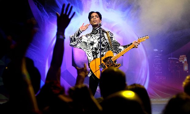 The Prince tribute, Dolhuis