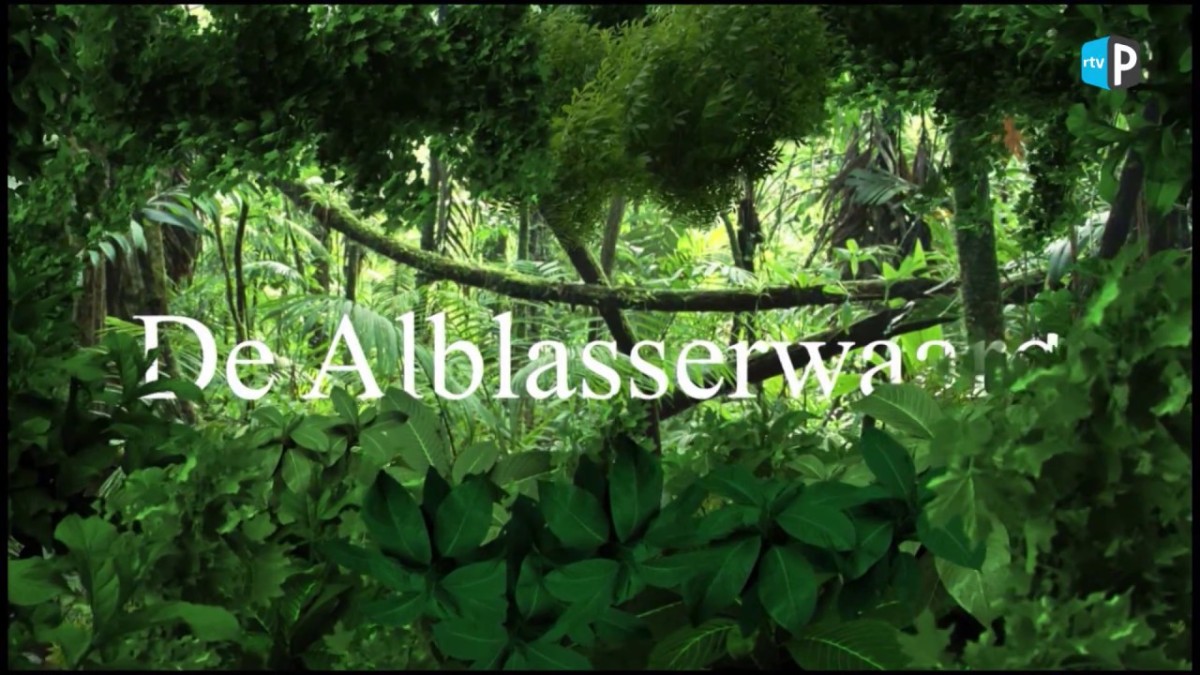 De Alblasserwaard 5 – Alblasserdam, het dorp en haar geschiedenis (Deel 1)